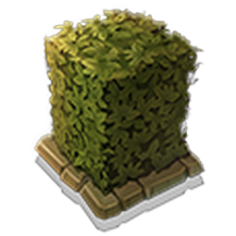 Tall Hedge