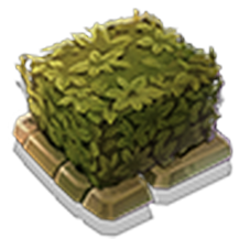 Small Hedge