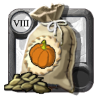Pumpkin Seeds