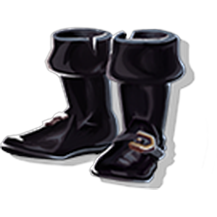 Hygienic Boots