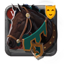 Riding Horse Skin: Fifth-Year Stallion